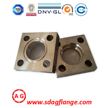 Pasadyang ISO9001 BV SGS Railing Square Flange